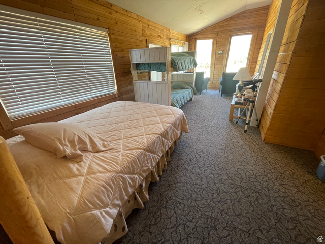 4648 West Taylor Flt Road Salina, UT 84654 - Photo 10 of 20 Room with extensive wood paneling, sloped ceilings, and patterned carpet
