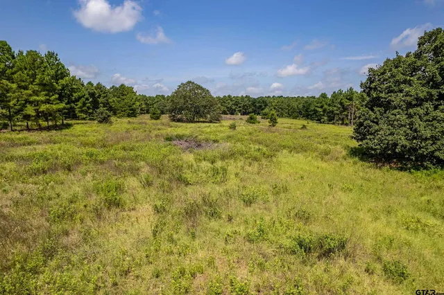 $360,000 | 462 Mineola Tx 75773, Mineola, TX 75773