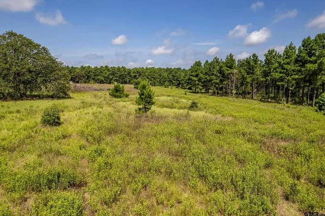 $360,000 | 462 Mineola Tx 75773, Mineola, TX 75773