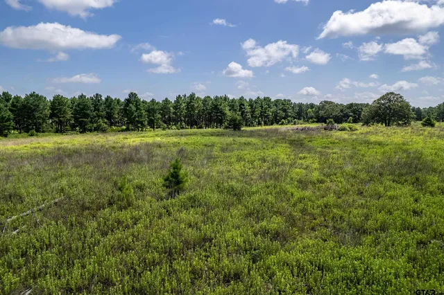 $360,000 | 462 Mineola Tx 75773, Mineola, TX 75773