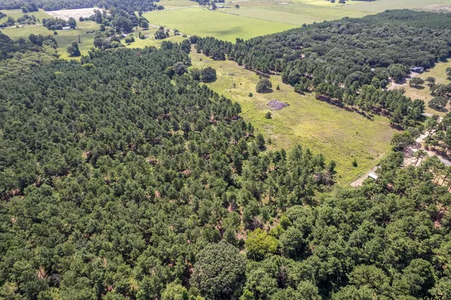 $360,000 | 462 Mineola Tx 75773, Mineola, TX 75773