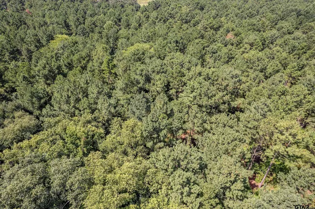 $360,000 | 462 Mineola Tx 75773, Mineola, TX 75773