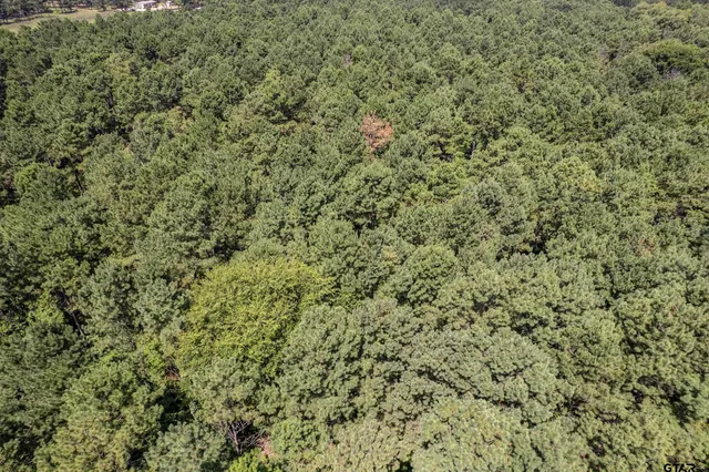 $360,000 | 462 Mineola Tx 75773, Mineola, TX 75773