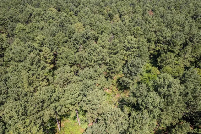 $360,000 | 462 Mineola Tx 75773, Mineola, TX 75773