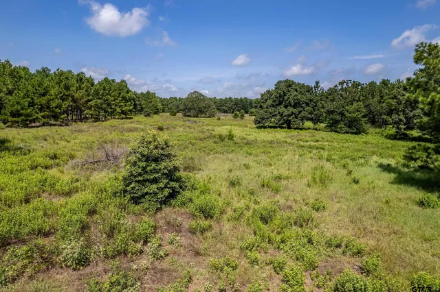 $360,000 | 462 Mineola Tx 75773, Mineola, TX 75773