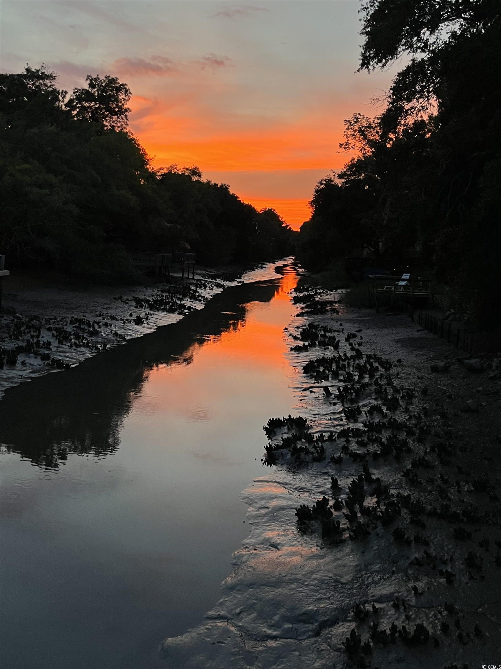 310 Clam Shell Circle Murrells Inlet, SC 29576 - Photo 31 of 32 Water view