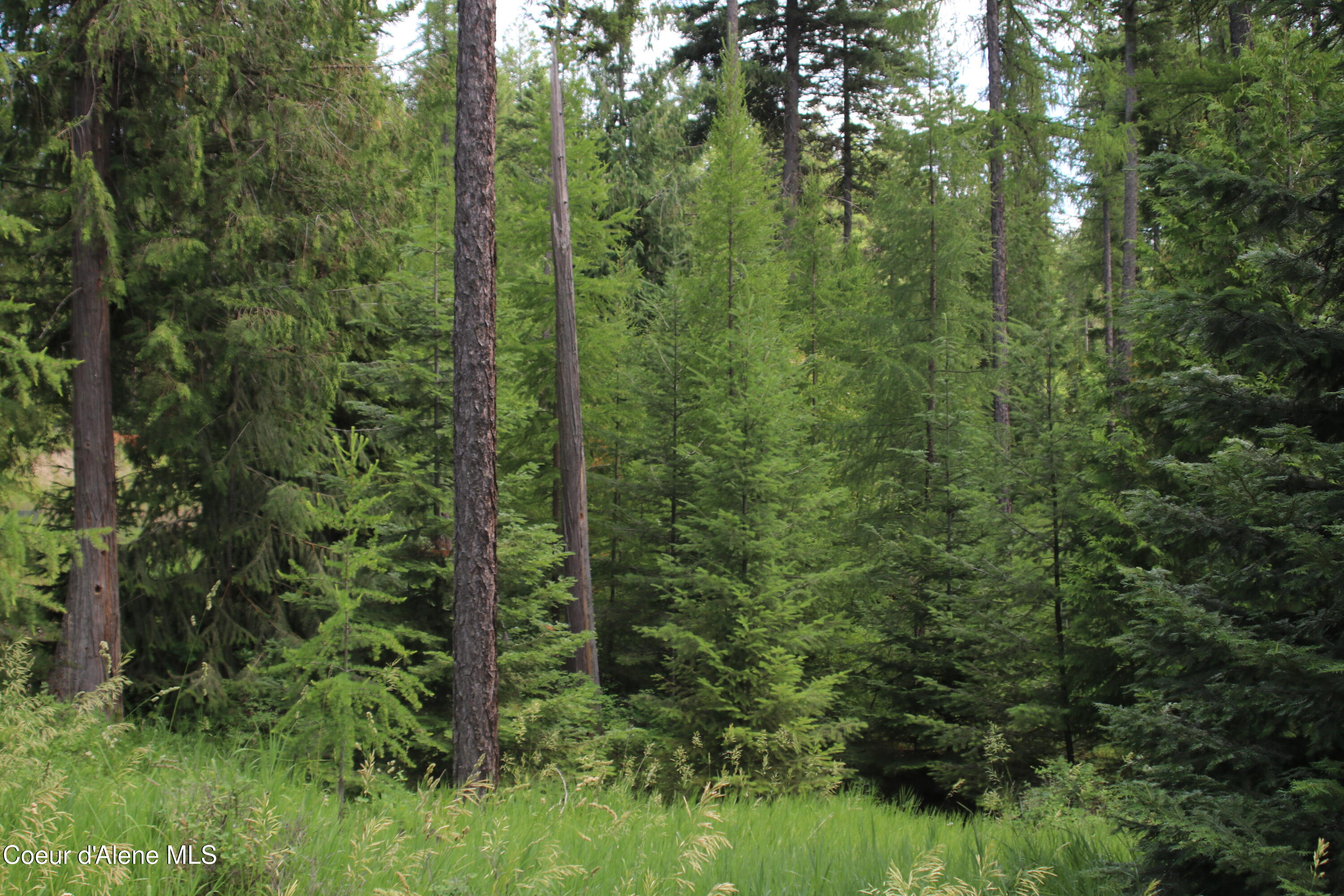 5 Bonners Ferry Bonners Ferry, ID 83805 - Photo 11 of 18 IMG_1838