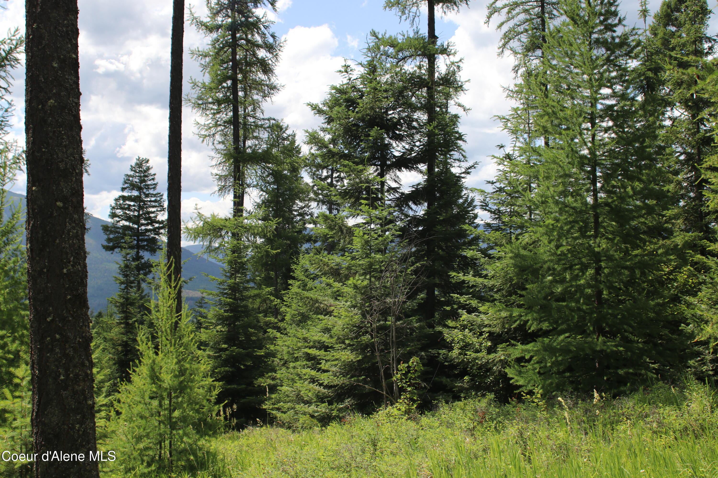 5 Bonners Ferry Bonners Ferry, ID 83805 - Photo 13 of 18 IMG_1842