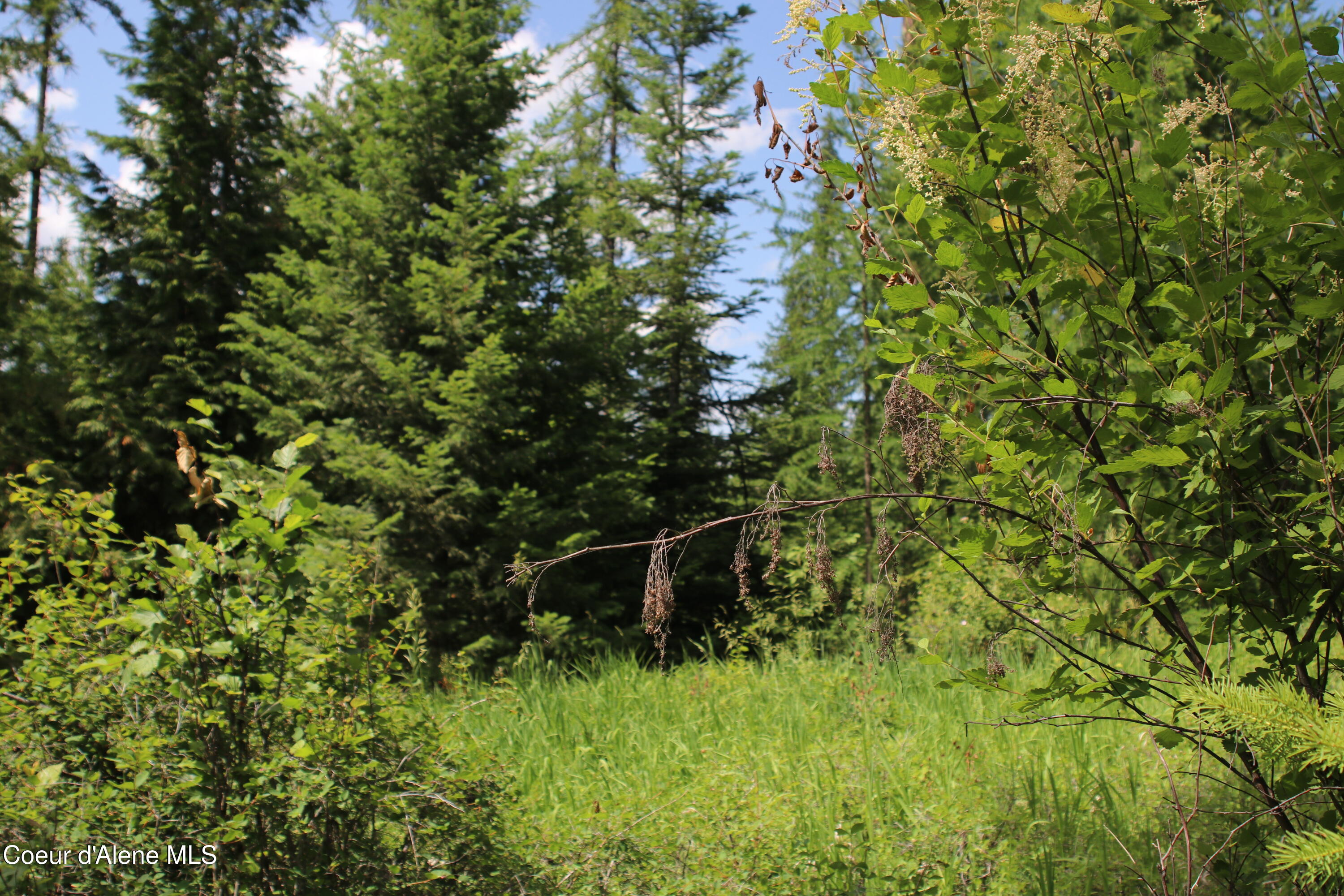 5 Bonners Ferry Bonners Ferry, ID 83805 - Photo 14 of 18 IMG_1843