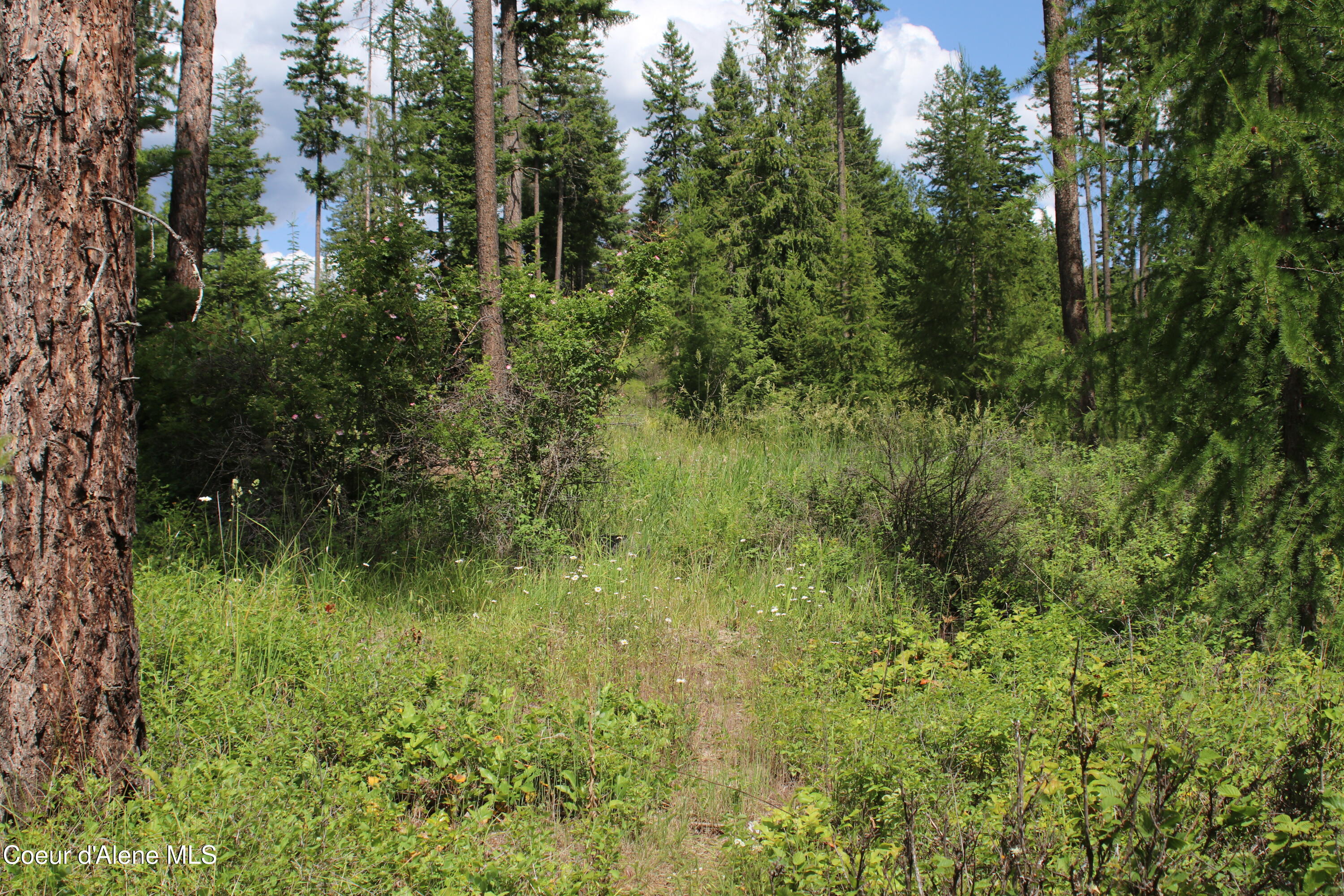 5 Bonners Ferry Bonners Ferry, ID 83805 - Photo 15 of 18 IMG_1845