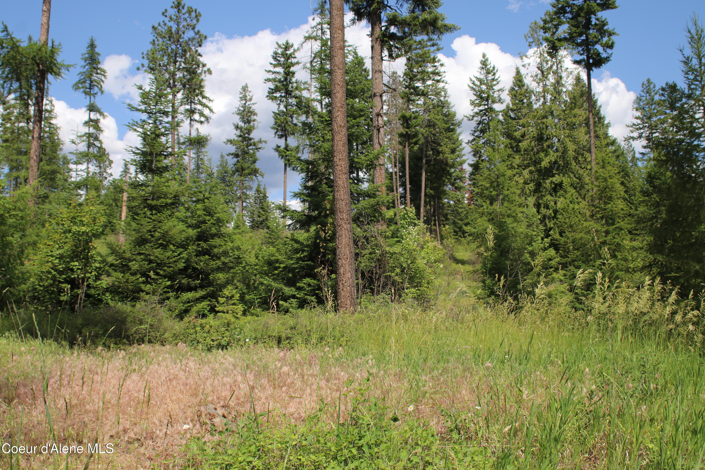 5 Bonners Ferry Bonners Ferry, ID 83805 - Photo 16 of 18 IMG_1846