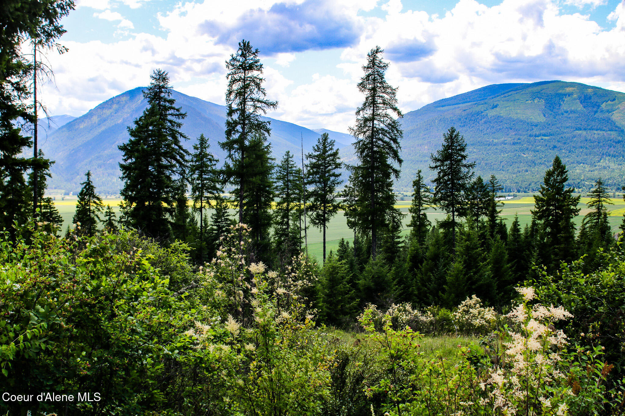 5 Bonners Ferry Bonners Ferry, ID 83805 - Photo 2 of 18 View from Property