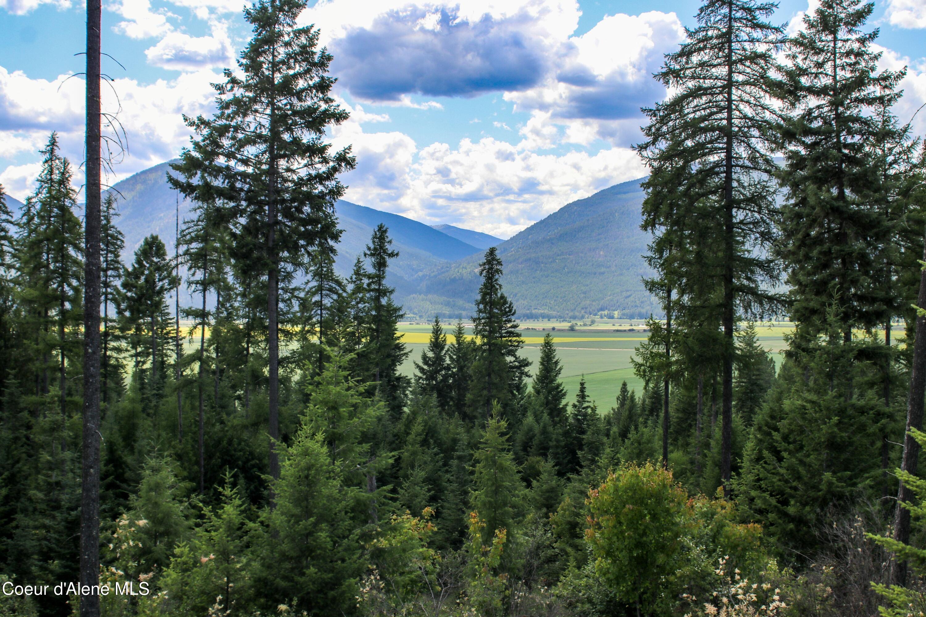 5 Bonners Ferry Bonners Ferry, ID 83805 - Photo 4 of 18 IMG_1814