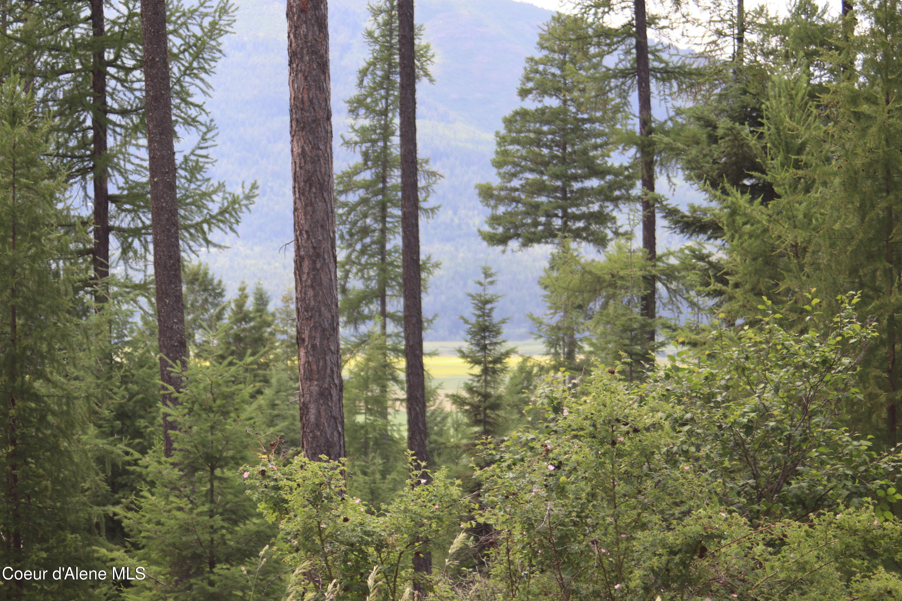 5 Bonners Ferry Bonners Ferry, ID 83805 - Photo 8 of 18 IMG_1835