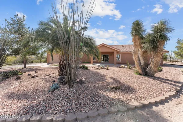 a view of a large tree with a yard