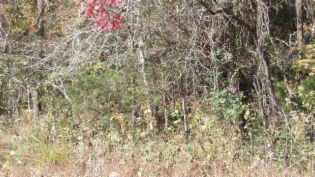 0 Moss Arcot Road Celina, TN 38551 - Photo 12 of 69