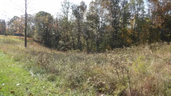 a view of a dirt road with trees