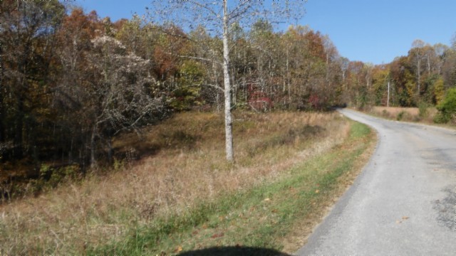0 Moss Arcot Road Celina, TN 38551 - Photo 22 of 69 a view of a forest