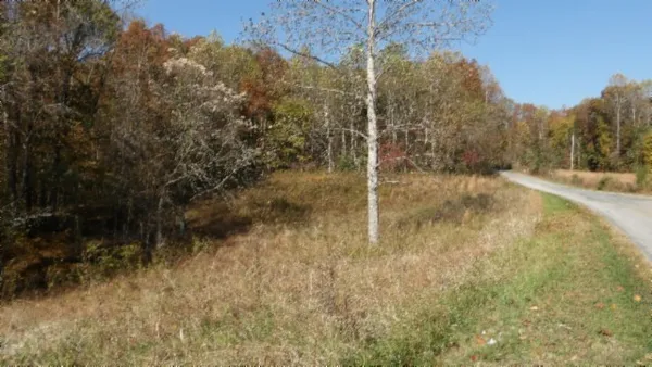 a view of a field with trees in the background