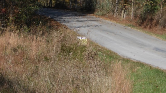 0 Moss Arcot Road Celina, TN 38551 - Photo 27 of 69 a view of a yard with a tree