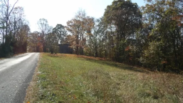 a view of a dry yard with trees