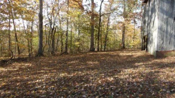 a view of large yard