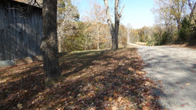 0 Moss Arcot Road Celina, TN 38551 - Photo 36 of 69 a view of a yard with trees