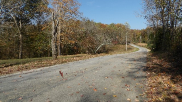 0 Moss Arcot Road Celina, TN 38551 - Photo 38 of 69 a view of a dry yard with trees