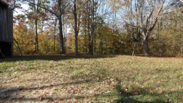 a view of outdoor space and tree