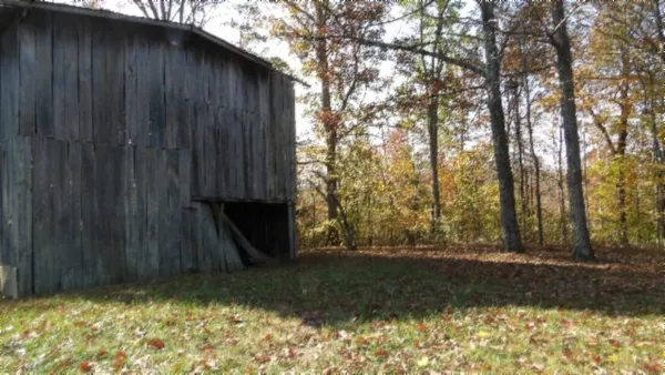 a view of a yard with large trees