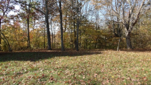 0 Moss Arcot Road Celina, TN 38551 - Photo 44 of 69 a view of a yard with large trees