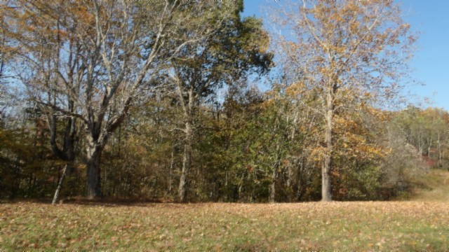 0 Moss Arcot Road Celina, TN 38551 - Photo 46 of 69 a view of yard