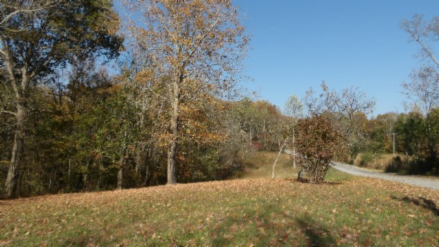 0 Moss Arcot Road Celina, TN 38551 - Photo 47 of 69