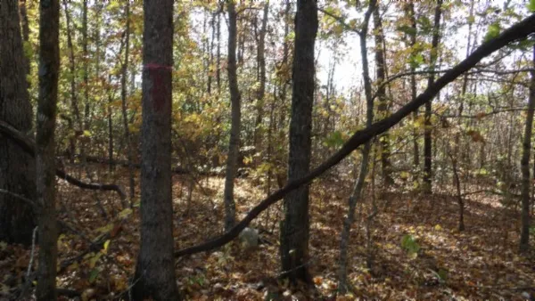 $79,900 | 0 Moss Arcot Road, Celina, TN 38551