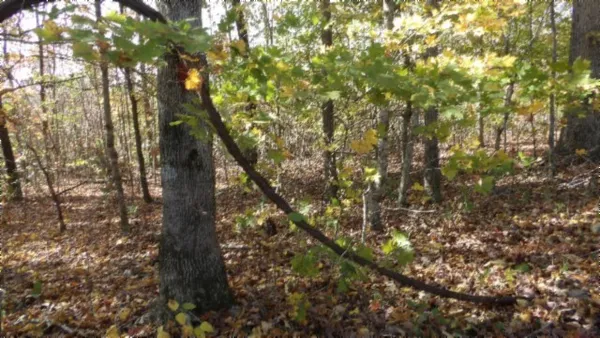 $79,900 | 0 Moss Arcot Road, Celina, TN 38551