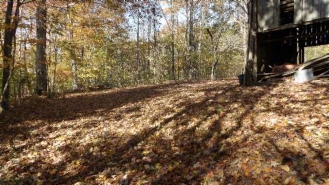 0 Moss Arcot Road Celina, TN 38551 - Photo 54 of 69 a view of outdoor space and yard