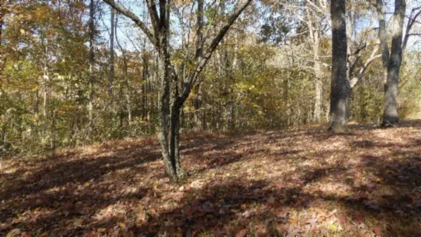 $79,900 | 0 Moss Arcot Road, Celina, TN 38551