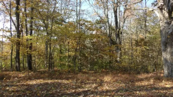 $79,900 | 0 Moss Arcot Road, Celina, TN 38551