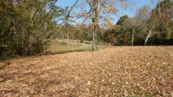 $79,900 | 0 Moss Arcot Road, Celina, TN 38551