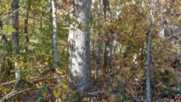 $79,900 | 0 Moss Arcot Road, Celina, TN 38551