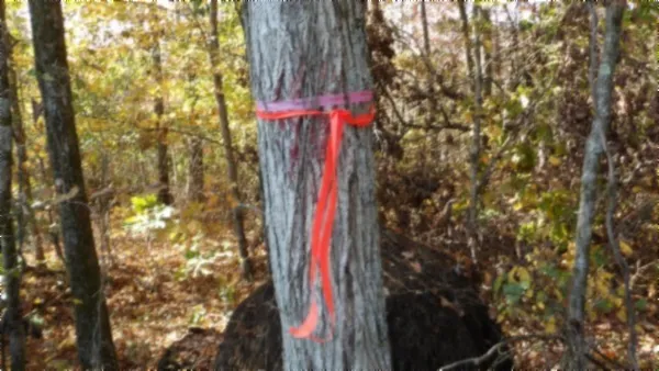 $79,900 | 0 Moss Arcot Road, Celina, TN 38551