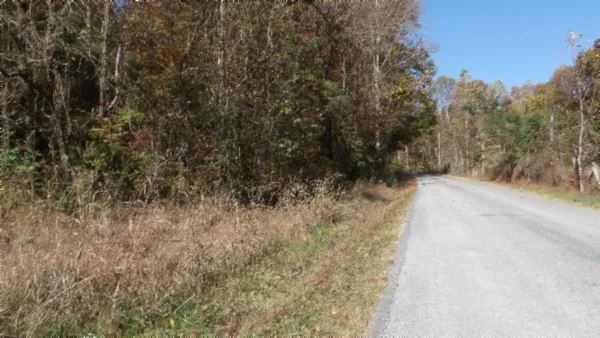a view of a dry yard