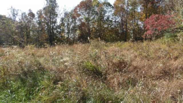 0 Moss Arcot Road Celina, TN 38551 - Photo 10 of 69