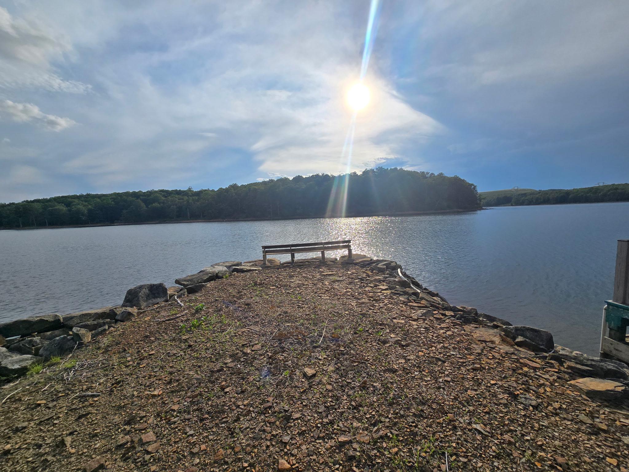 700 Paul Stahl Road Mount Storm, WV 26739 - Photo 14 of 31 Dock access