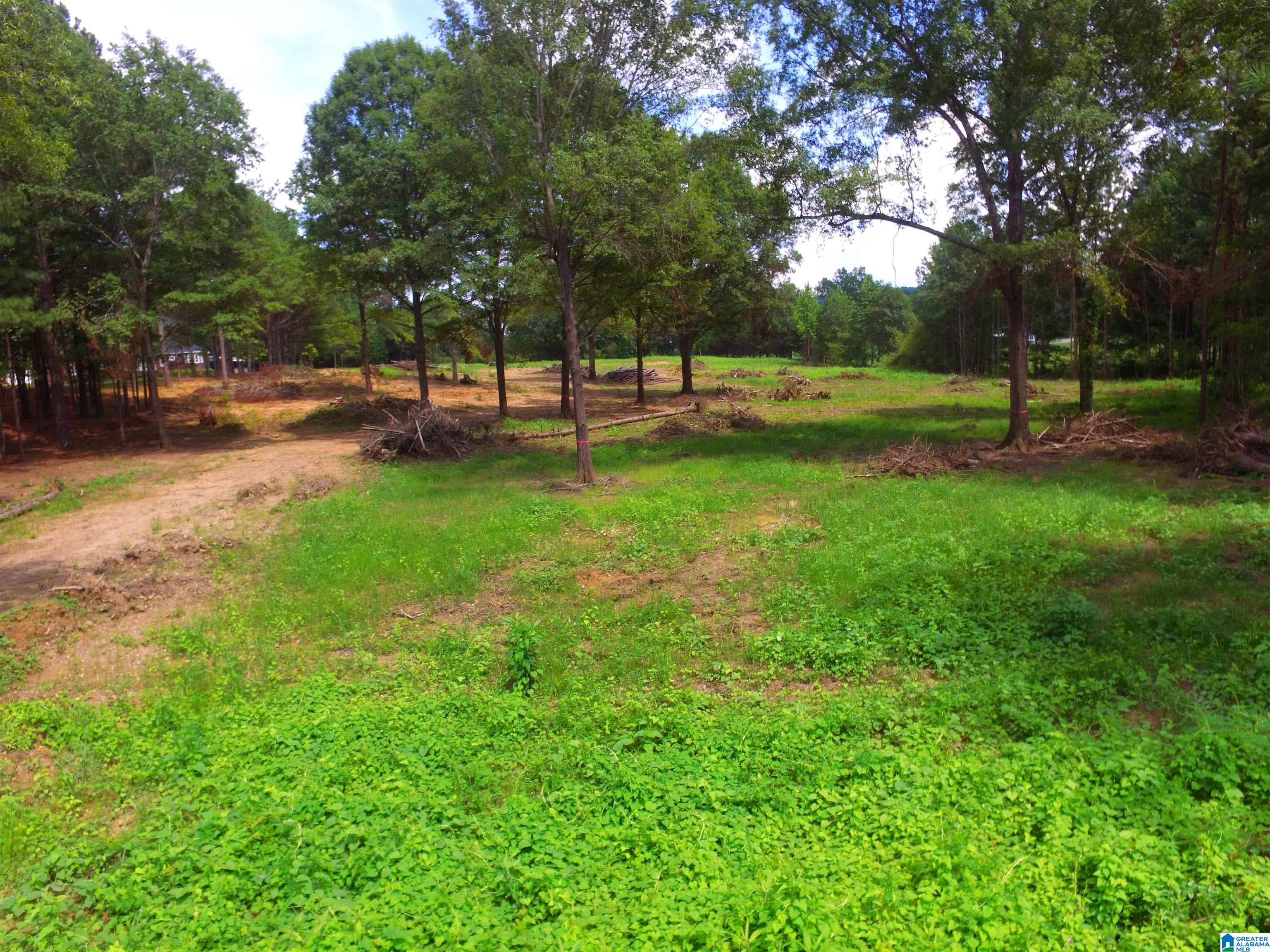 0 Lane Road, Unit 1 Oxford, AL 36203 - Photo 10 of 11