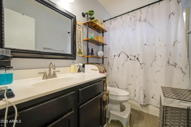 a bathroom with a sink toilet a mirror and shower curtain