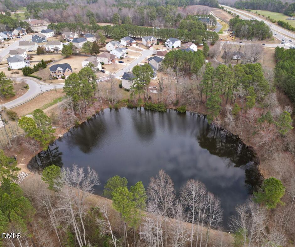 625 Toledo Court Rolesville, NC 27571 - Photo 65 of 69 CL Pond Winter