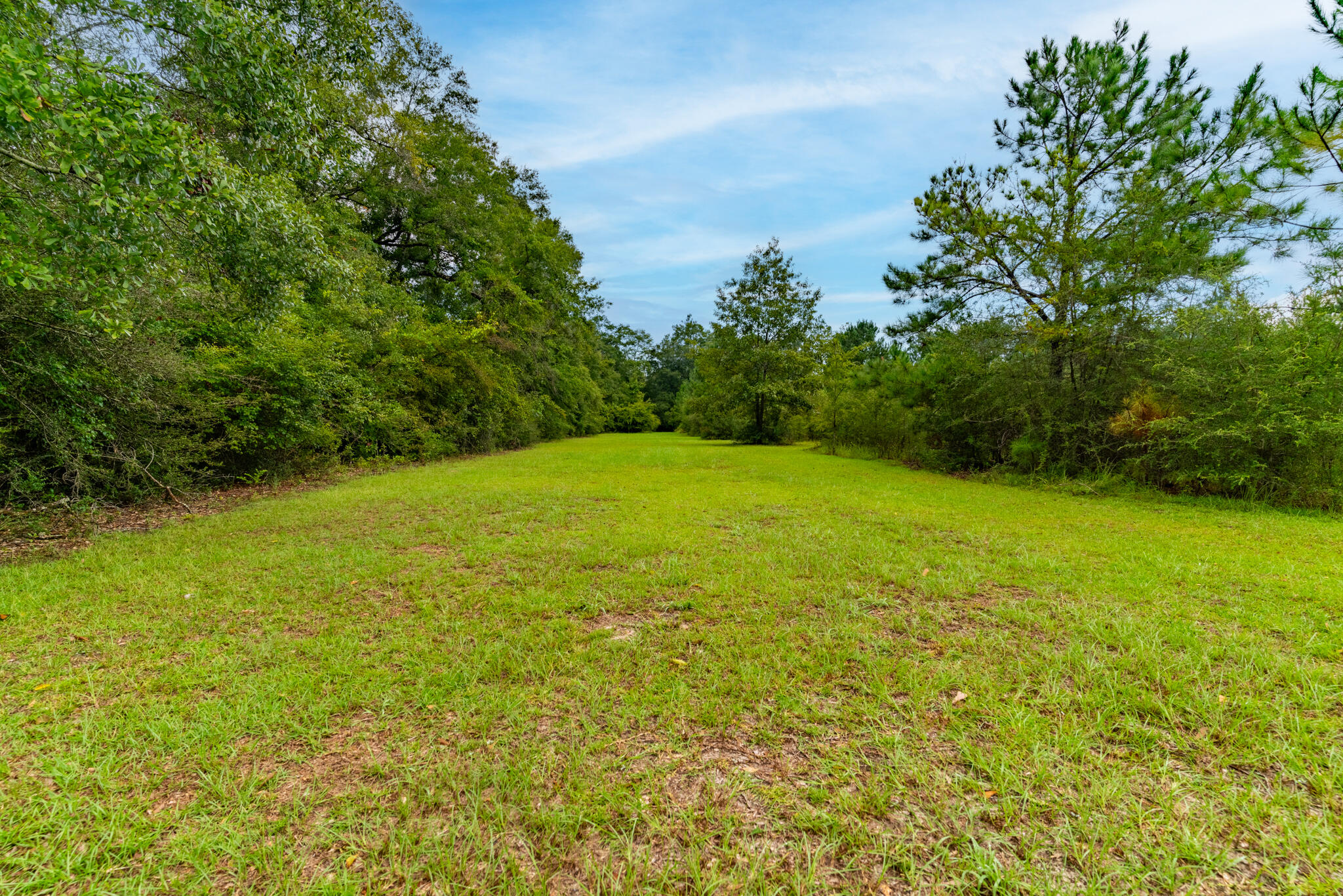 2050 Shockley Springs Road Baker, FL 32531 - Photo 38 of 49 a view of a field with an outdoor space