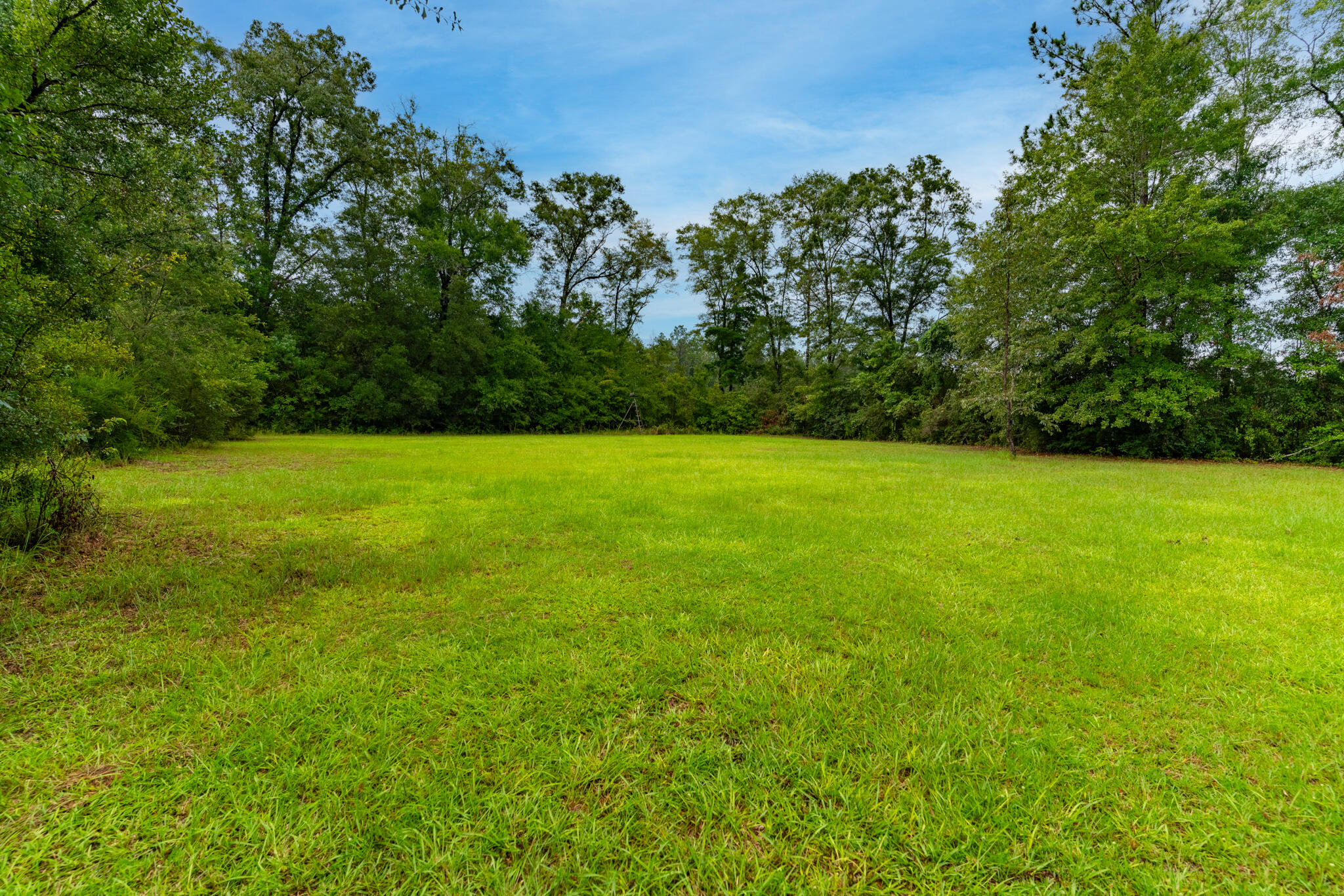 2050 Shockley Springs Road Baker, FL 32531 - Photo 39 of 49 a view of a green field with lots of bushes