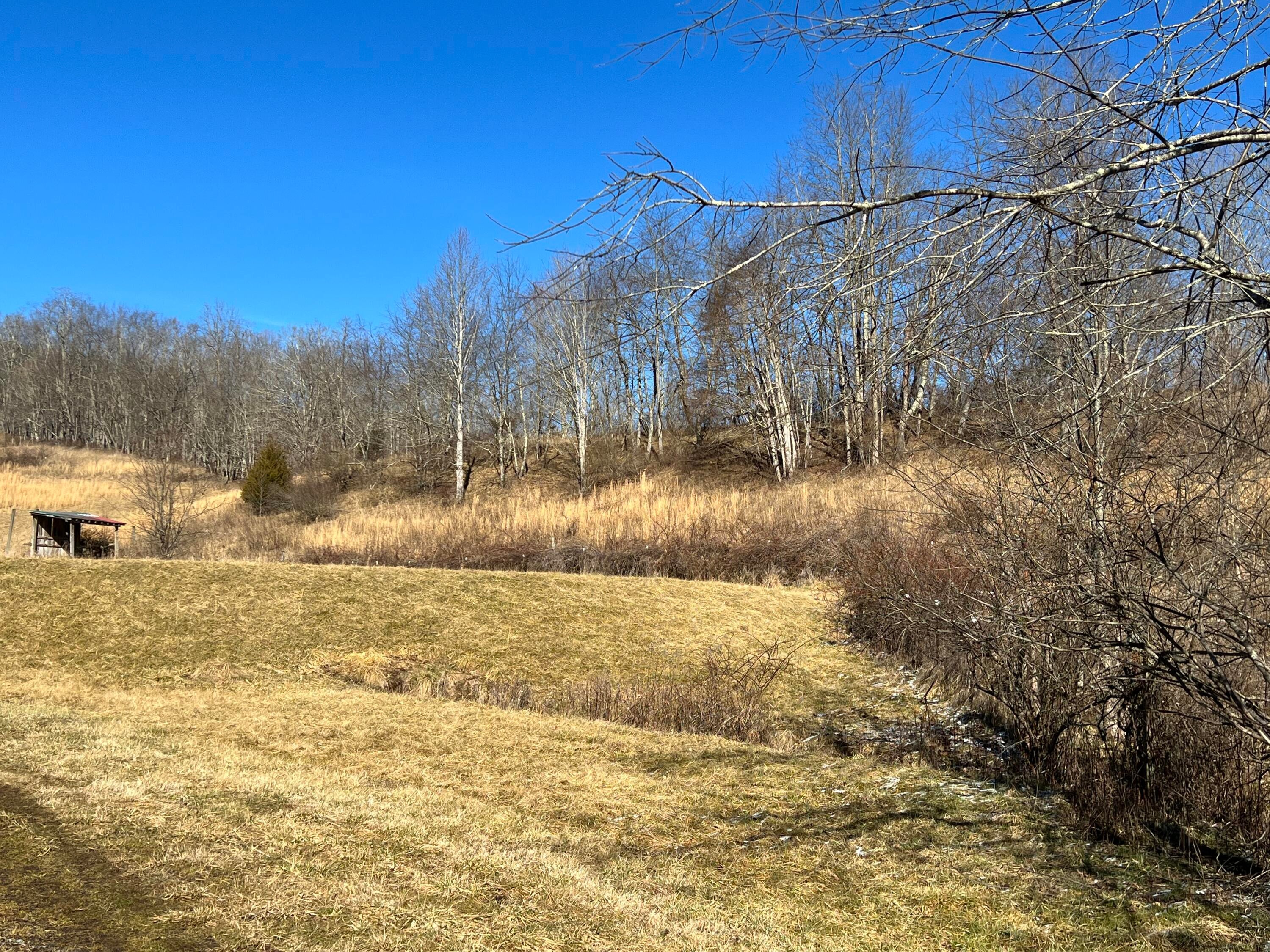 7133 Friars Hill Road Renick, WV 24966 - Photo 6 of 24 Gallery Image 6